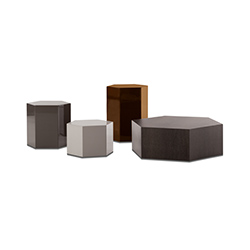 ���������� CG-B1009