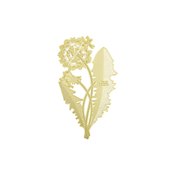 �ѹ�Ӣ��ǩ CG-L6038