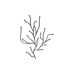 ���ݰ칫��Ʒ CG-A1559