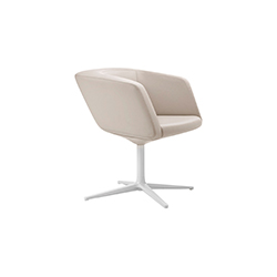 Dino ������ CG-A2600-9