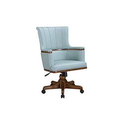 д���� CG-Y119