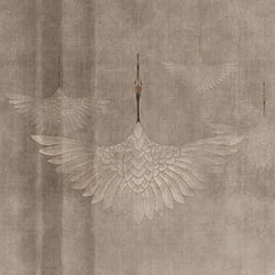 ����-ԭ�����Ʊڻ� CG-NDC5010