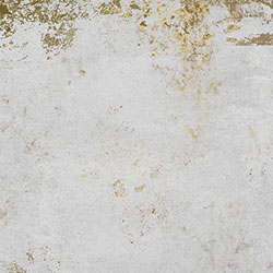 �߲�-ԭ�����Ʊڻ� CG-NDC5011