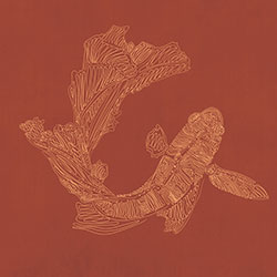 ��Ծ-ԭ�����Ʊڻ� CG-NDC5020