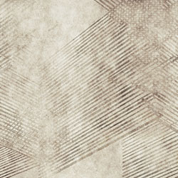 ��֯-ԭ�����Ʊڻ� CG-NDC5024