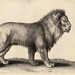 ��-ԭ�����Ʊڻ� CG-NDC5028