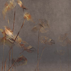 Ҷ����-ԭ�����Ʊڻ� CG-NDC5035