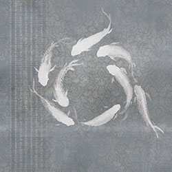 �Ž�-ԭ�����Ʊڻ� CG-NDC5036