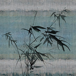 ����-ԭ�����Ʊڻ� CG-NDC5038