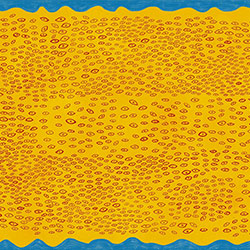 ��������-ԭ�����Ʊڻ� CG-NDC5097