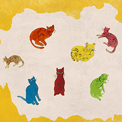 ��˹��-ԭ�����Ʊڻ� CG-NDC5099