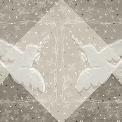 ���֦-ԭ�����Ʊڻ� CG-NDC5114