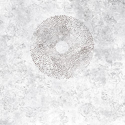 ����-ԭ�����Ʊڻ� CG-NDC5118