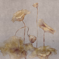 ����-ԭ�����Ʊڻ� CG-NDC5125