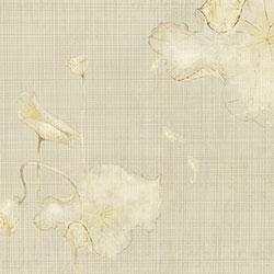 ����-ԭ�����Ʊڻ� CG-NDC5130