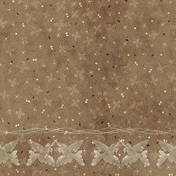 ����-ԭ�����Ʊڻ� CG-NDC5134