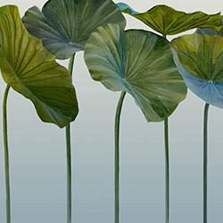 �徻-ԭ�����Ʊڻ� CG-NDC5141