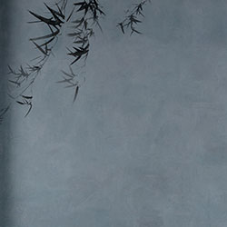 ī��-ԭ�����Ʊڻ� CG-NDC5158