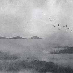 ɽˮ-ԭ�����Ʊڻ� CG-NDC5170