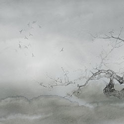 ÷-ԭ�����Ʊڻ� CG-NDC5199