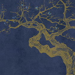 ÷��-ԭ�����Ʊڻ� CG-NDC5200