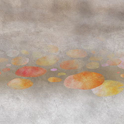 ����-ԭ�����Ʊڻ� CG-NDC5226