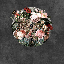 ����-ԭ�����Ʊڻ� CG-NDC5234