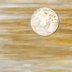 �羰-ԭ�����Ʊڻ� CG-NDC5237