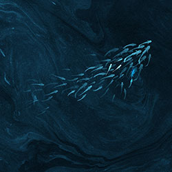 ����Ϫ��-ԭ�����Ʊڻ� CG-NDC5239