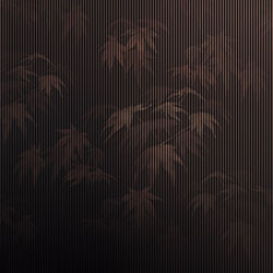 ��Ҷ-ԭ�����Ʊڻ� CG-NDC5241