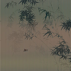 ����-ԭ�����Ʊڻ� CG-NDC5247