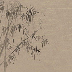 ����-ԭ�����Ʊڻ� CG-NDC5249