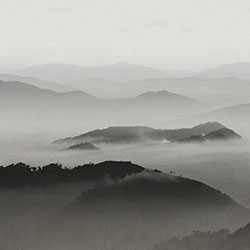 ɽ��-ԭ�����Ʊڻ� CG-NDC5256