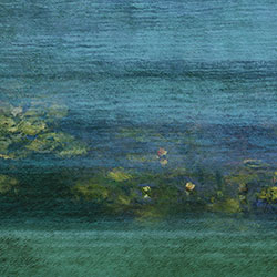 ��ˮ-ԭ�����Ʊڻ� CG-NDC5001