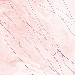 ����-ԭ�����Ʊڻ� CG-NDC5007