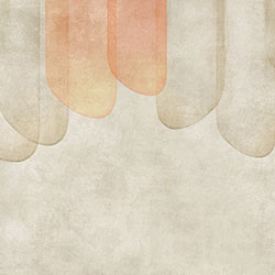 ��ʯ-ԭ�����Ʊڻ� CG-NDC5014