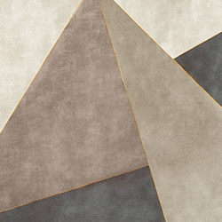 ������-ԭ�����Ʊڻ� CG-NDC5018