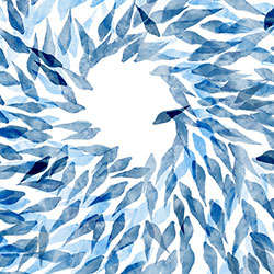 Ѱ��-ԭ�����Ʊڻ� CG-NDC5032