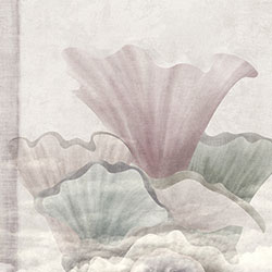 ����-ԭ�����Ʊڻ� CG-NDC5034