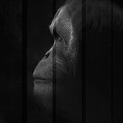 ����-ԭ�����Ʊڻ� CG-NDC5040