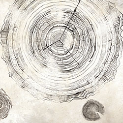 ��������-ԭ�����Ʊڻ� CG-NDC5047