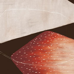 ��ʯ-ԭ�����Ʊڻ� CG-NDC5056