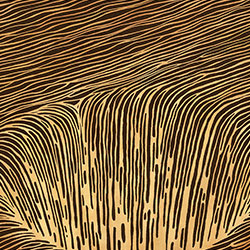 ʱ��-ԭ�����Ʊڻ� CG-NDC5079