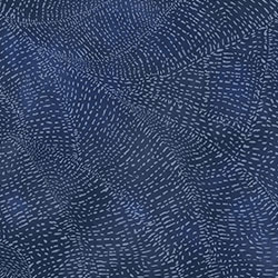 ɽ��-ԭ�����Ʊڻ� CG-NDC5096