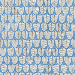 ����-ԭ�����Ʊڻ� CG-NDC5103