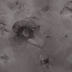 ��ͩ��-ԭ�����Ʊڻ� CG-NDC5176