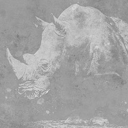 Ϭţ-ԭ�����Ʊڻ� CG-NDC5185