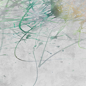 ����-ԭ�����Ʊڻ� CG-NDC5190