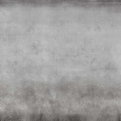 ����ʿ��-ԭ�����Ʊڻ� CG-NDC5204