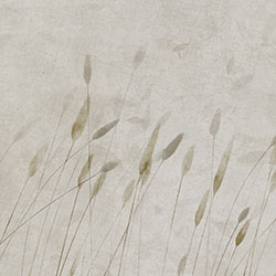 ҡҷ-ԭ�����Ʊڻ� CG-NDC5210